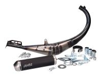 exhaust Polini Evolution for Rieju RS3 50 NKD Naked 18-20 E4 (AM6)