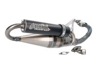 exhaust Polini sport Scooter Team 4 for Peugeot Ludix 1 50 One AC