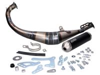 exhaust Polini Big Evolution 94cc for CH Racing WXE 50 (AM6) Euro 1+2