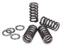 clutch springs Polini reinforced for Beta RR 50 Enduro Factory 14 (AM6) Moric ZD3C20000E01
