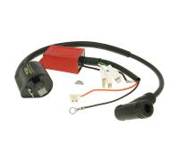 CDI unit with ignition coil Top Performances digital for Piaggio Fly 50 2T -05 [ZAPC441000]