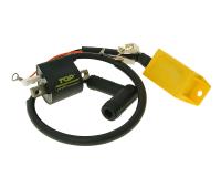 CDI unit with ignition coil Top Performances for Piaggio TPH 50 2T 07-08 (Typhoon) [ZAPC29000]