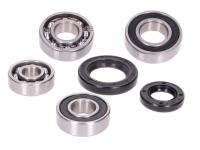 gearbox bearing set w/ oil seals for Sachs Squab 50 S1A03