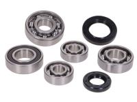 gearbox bearing set w/ oil seals for Benzhou Retro Star (YY50QT-15)