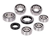 gearbox bearing set w/ oil seals for SYM (Sanyang) Jet 50 R SportX 07-13 [BK05W-6]