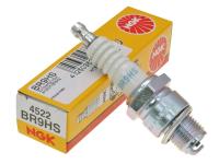 spark plug NGK shielded BR9HS for Testi 10 50