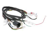 main wire / general wire harness for Qingqi (Jinan Qingqi) RS 400