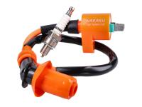 ignition upgrade kit Naraku ignition coil and spark plug iridium for SYM (Sanyang) Super Duke 125 96-98 E1 [A125Q2]