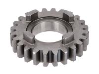 5th speed primary transmission gear TP 24 teeth 2nd series for Peugeot XPS 50 SM 13- (AM6) Moric
