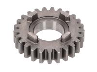 6th speed primary transmission gear TP 25 teeth 2nd series for Peugeot XPS 50 SM 13- (AM6) Moric