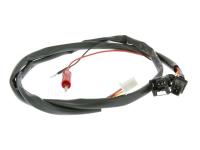 ECU cable set Polini for Vespa Modern 946 125 ie 3V ABS E3 13-15 [ZAPM801/ ZAPMA7100]