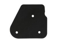 air filter foam insert OEM for Adly (Her Chee) PR 5 S 50