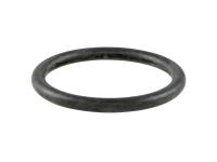 O-Ring for exhaust flange, exhaust