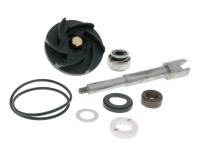 water pump repair kit for Gilera Nexus 500 ie 4V -05 [ZAPM3510/ 35200]