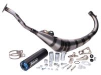 exhaust Yasuni R2 MAX PRO blue for Rieju RS3 50 NKD Naked 18-20 E4 (AM6)