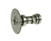 camshaft for GT Union Veloce 125 4T
