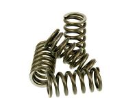 clutch spring set Malossi MHR reinforced for slightly tuned engines for Fantic Motor Enduro ER 50 Competition -17 (AM6 Racing)