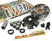 variator Malossi Multivar 2000 for Aprilia Scarabeo 50 2T 06-09 (Piaggio engine) [ZD4THG]