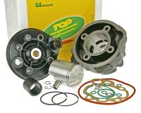 cylinder kit Top Performances Trophy 70cc for Aprilia RS 50 96-98 (AM5 / AM6) [070 / 085 / ZD4MM]