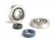 Bearing and oil seal set for crankshaft -BGM ORIGINAL- Peugeot 50cc (vertical - mecanical oil pump) - SPEEDFIGHT1 50 (AC/LC) (-2004), SPEEDFIGHT2 50 (AC/LC) (-2004), METALX50, XFIGHT50, TKR50, TREKKER50, VIVACITY50, BUXY50, ELYSEO50, ELYSTAR50, LOOXOR50,