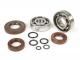 Bearing and oil seal set for crankshaft -BGM ORIGINAL- Vespa V50, PV125, ET3, PK50, PK80, PK125 - 1x 6303 + 1x 6204 - incl. O-rings