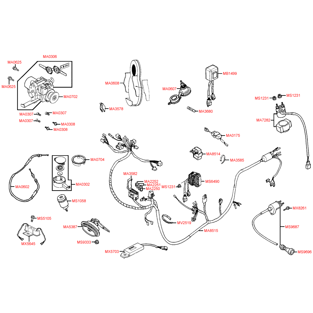 F19 electrical system & lock compl.